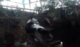 挠男生脚心视频,视频爆笑全场！